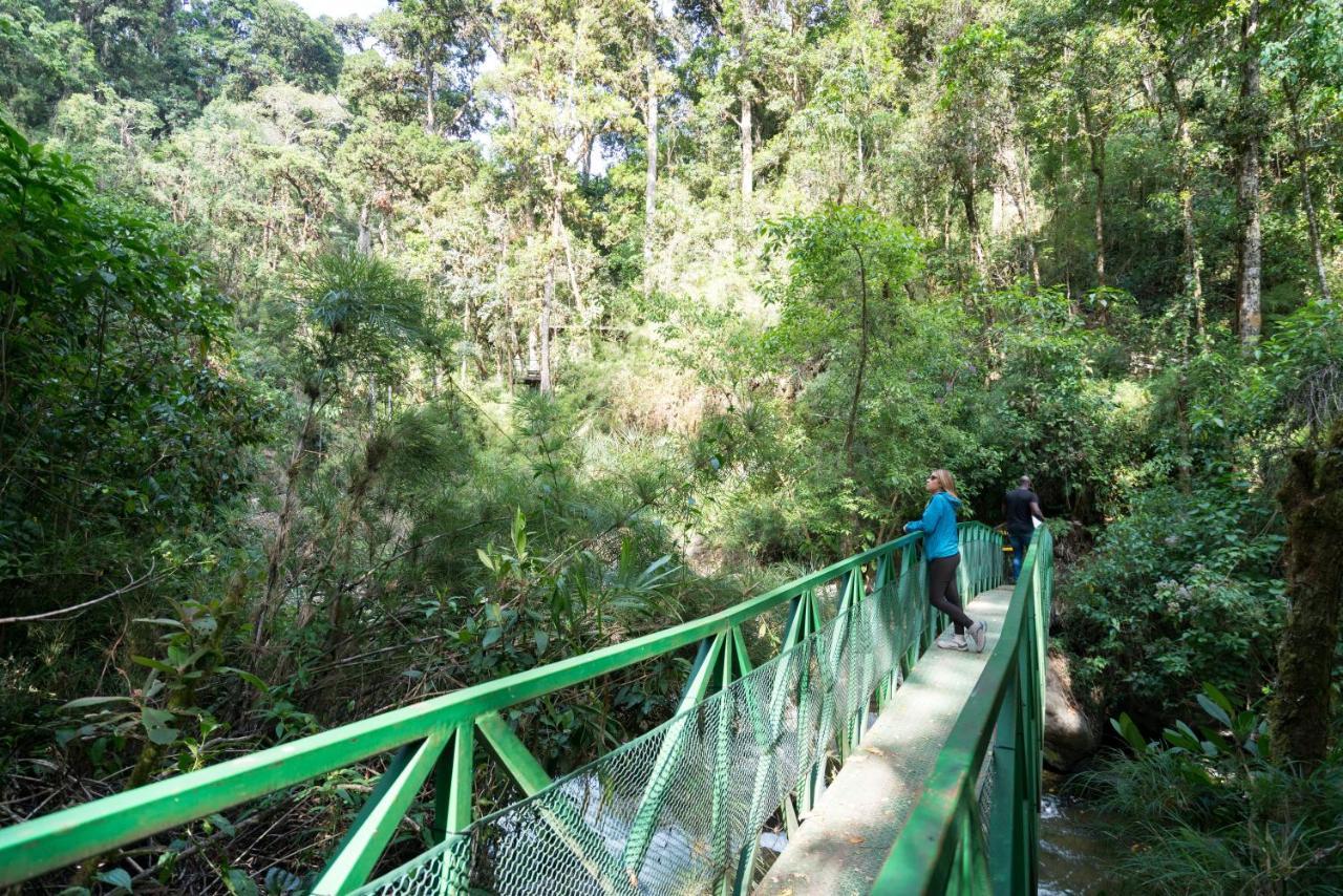 סן חררדו דה דוטה Trogon Lodge מראה חיצוני תמונה